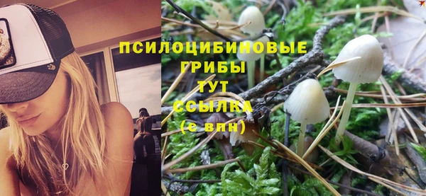 меф Инта