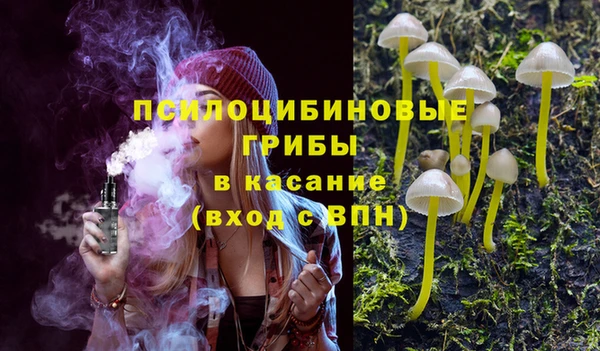 меф Инта