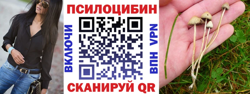 Псилоцибиновые грибы GOLDEN TEACHER  Купить  Волгореченск 